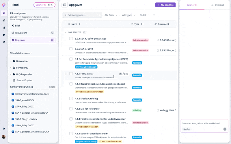 Task overview in Cobrief